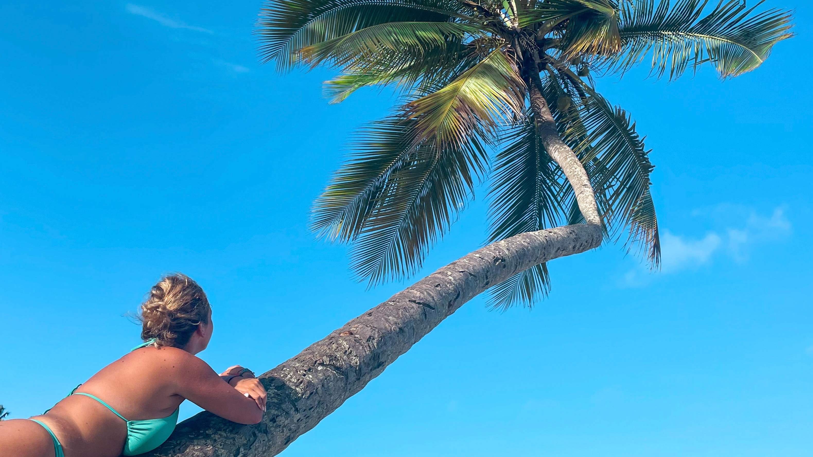 Voyage pas cher : les volontariats 